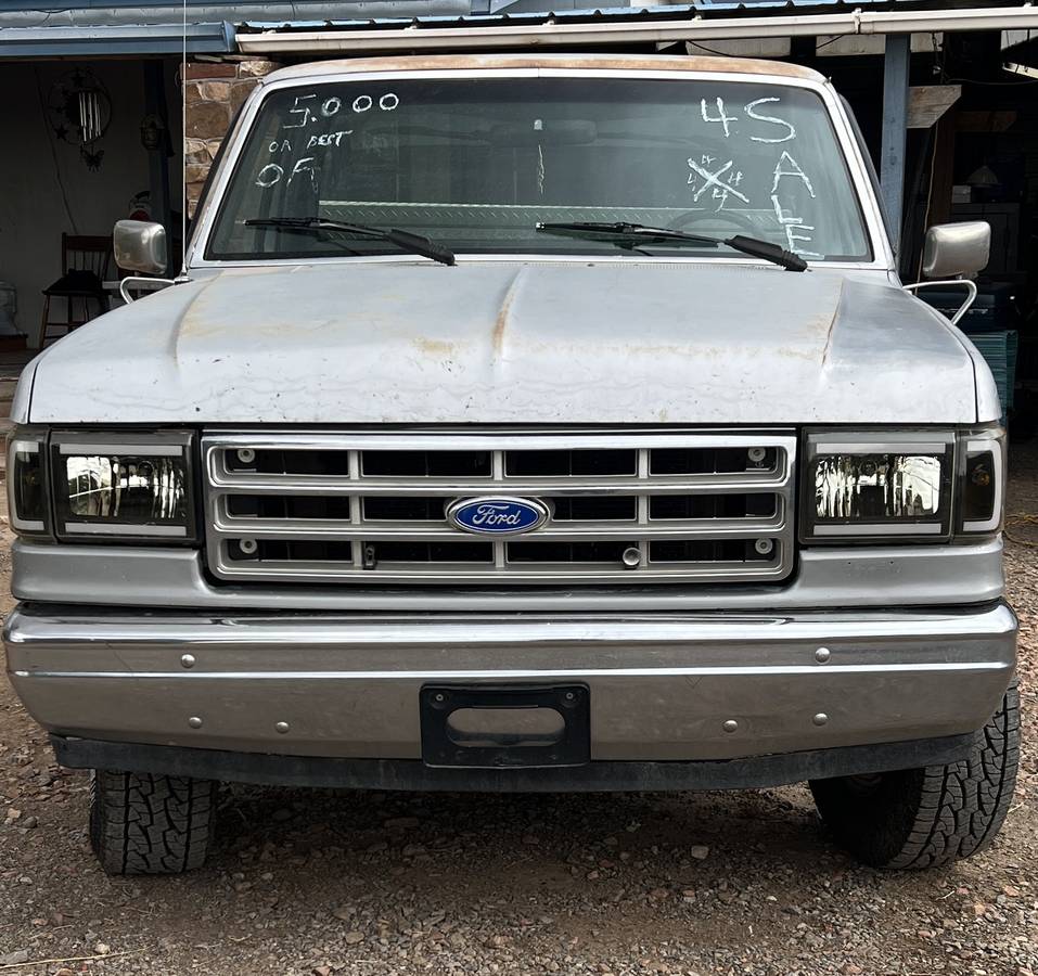 Ford-f-150-1989-silver-4