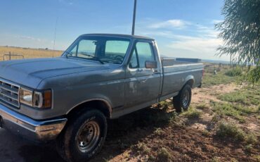 Ford-f-150-1989-silver