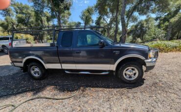Ford-f-150-1990-blue-1