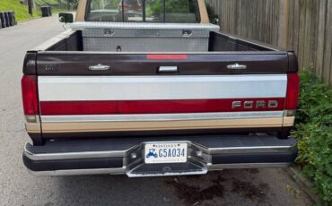 Ford-f-150-1990-brown-1