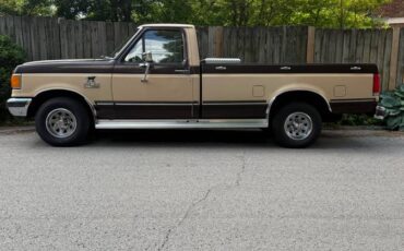 Ford-f-150-1990-brown-2