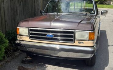 Ford-f-150-1990-brown