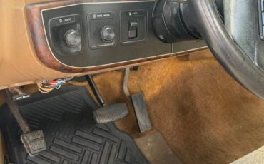 Ford-f-150-1990-brown-4