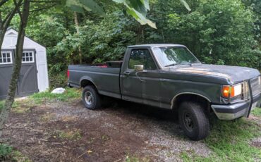 Ford-f-150-1990-grey-1