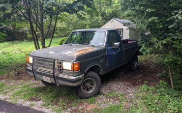 Ford-f-150-1990-grey