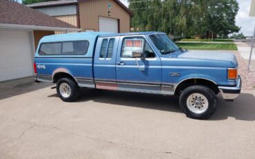 Ford-f-150-1991-blue