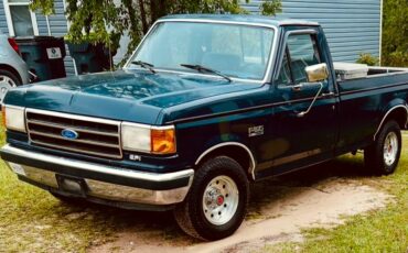 Ford-f-150-1991-blue-5