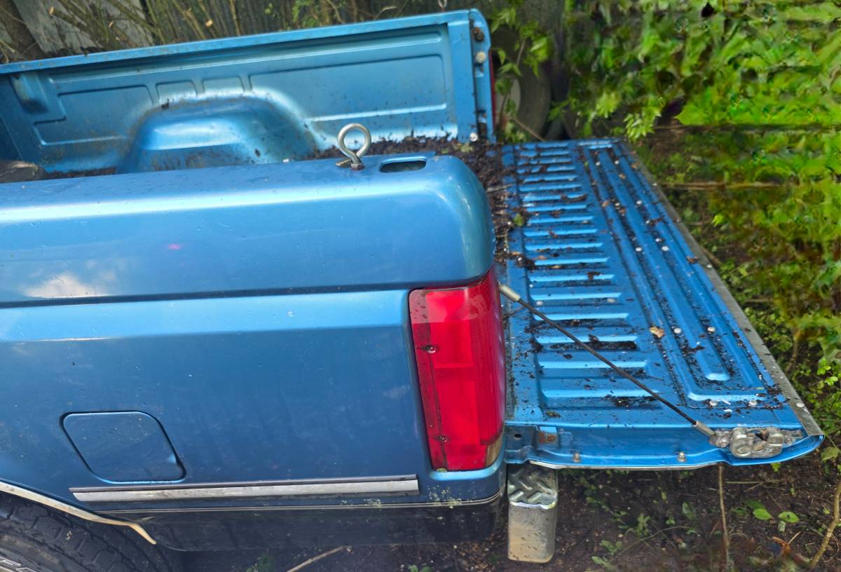 Ford-f-150-1992-blue-5
