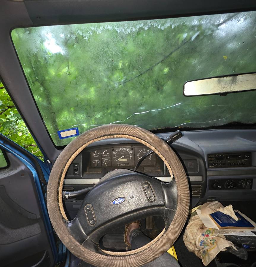 Ford-f-150-1992-blue-9