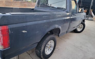 Ford-f-150-1993-blue-3