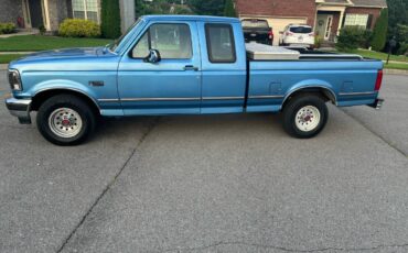 Ford-f-150-1993-blue