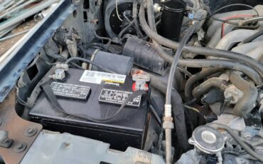 Ford-f-150-1993-blue-8