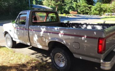 Ford-f-150-1993-silver-2