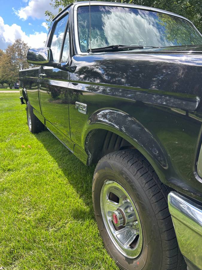 Ford-f-150-1994-black-8