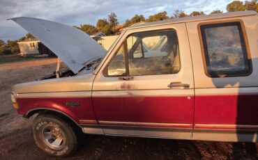 Ford-f-150-1995-custom-2