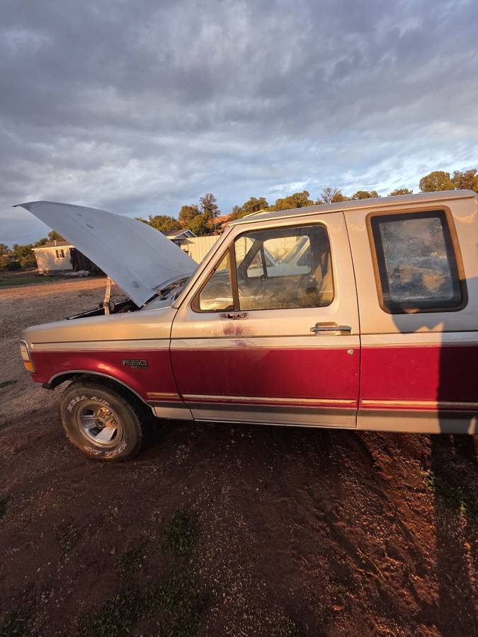 Ford-f-150-1995-custom-2