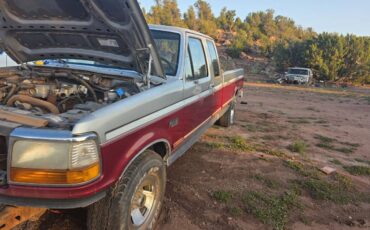 Ford-f-150-1995-custom