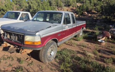 Ford-f-150-1995-custom-8