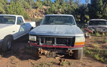 Ford-f-150-1995-custom-9