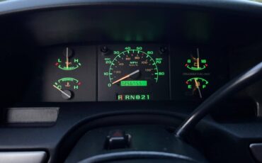 Ford-f-150-1995-grey-4