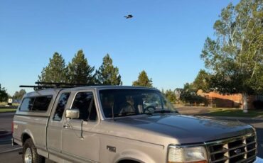 Ford-f-150-1995-grey-6