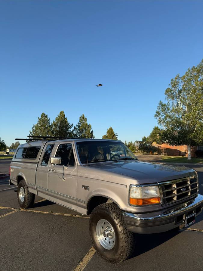 Ford-f-150-1995-grey-6