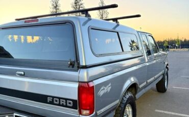 Ford-f-150-1995-grey-9