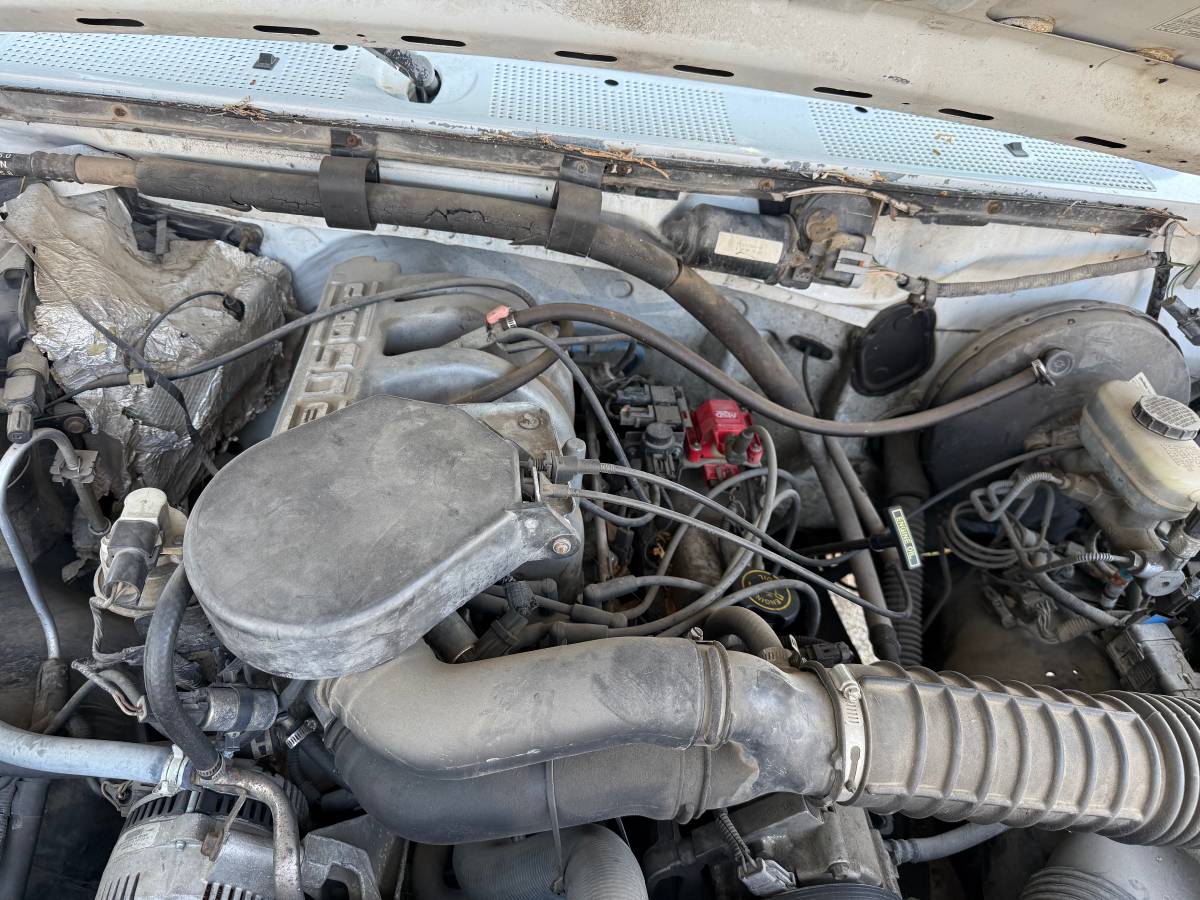Ford-f-150-1995-white-8