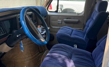 Ford-f-150-econoline-1985-blue-10