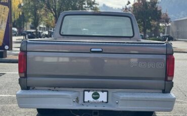 Ford-f-150-extended-cab-sb-manual-1992-grey-3