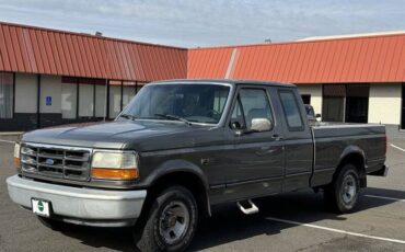 Ford-f-150-extended-cab-sb-manual-1992-grey-6