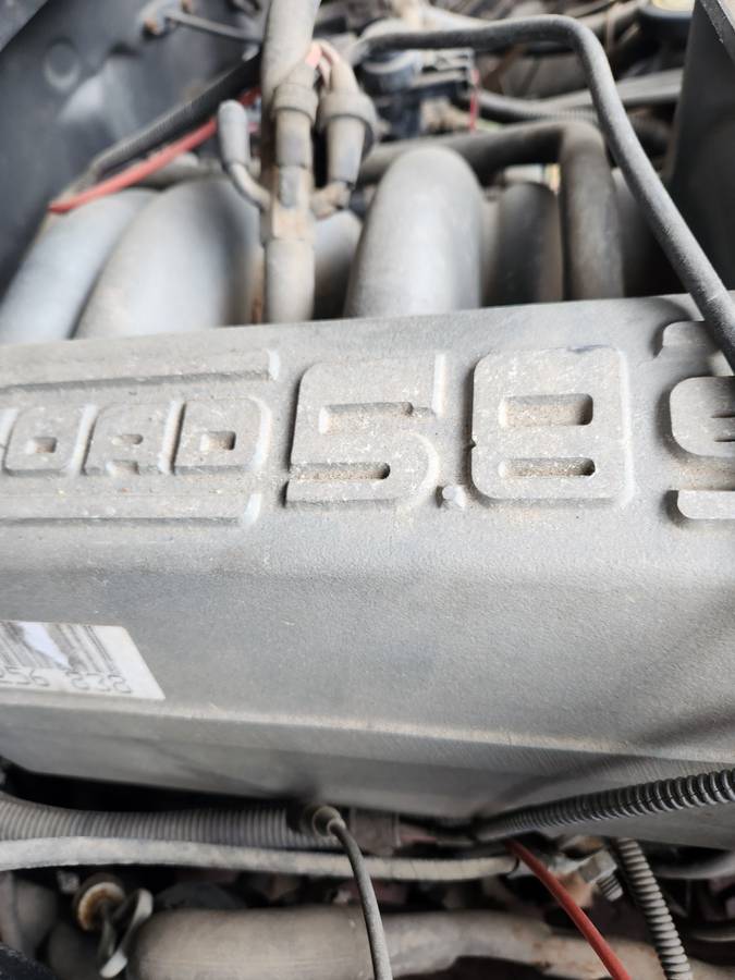 Ford-f-150-full-size-pickup-4x4-1995-silver-5