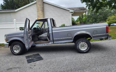 Ford-f-150-full-size-pickup-4x4-1995-silver-6