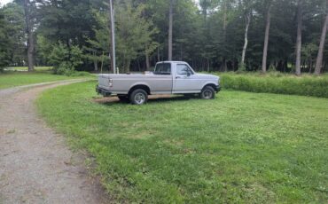 Ford-f-150-passengertruck-1993-grey-1