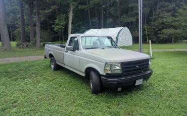 Ford-f-150-passengertruck-1993-grey