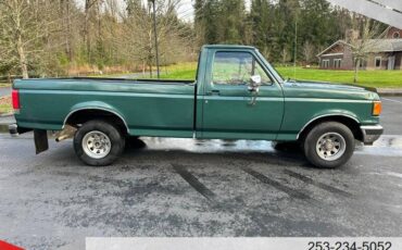 Ford-f-150-s-1989-green-14