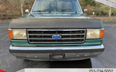 Ford-f-150-s-1989-green-9