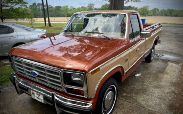 Ford-f-150-xl-1984-4