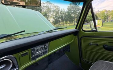 Ford-f-250-1969-green-13