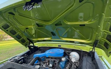 Ford-f-250-1969-green-3