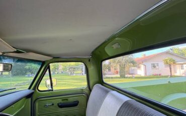Ford-f-250-1969-green-5