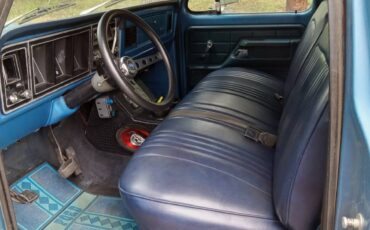 Ford-f-250-1976-blue-4