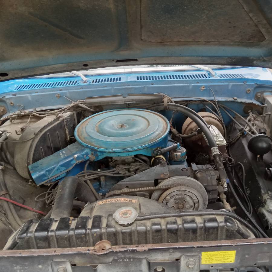 Ford-f-250-1976-blue-7