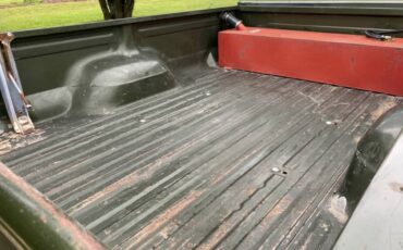 Ford-f-250-1976-green-8