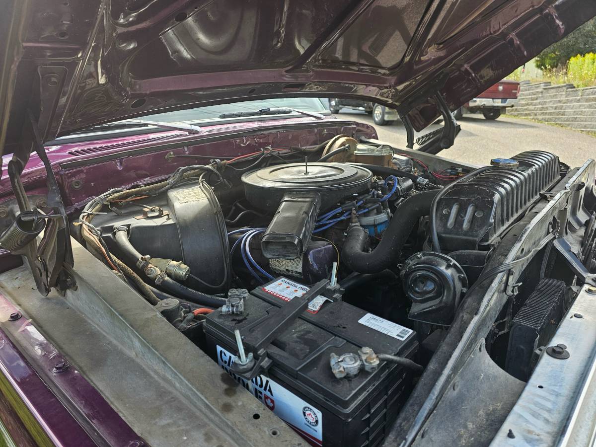 Ford-f-250-1977-purple-10