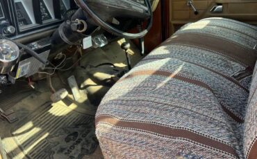Ford-f-250-1979-brown-1