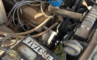 Ford-f-250-1979-brown-2