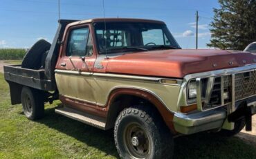 Ford-f-250-1979-brown