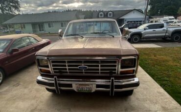 Ford-f-250-1986-brown-2