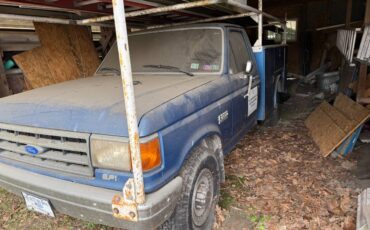 Ford-f-250-1989-blue-2